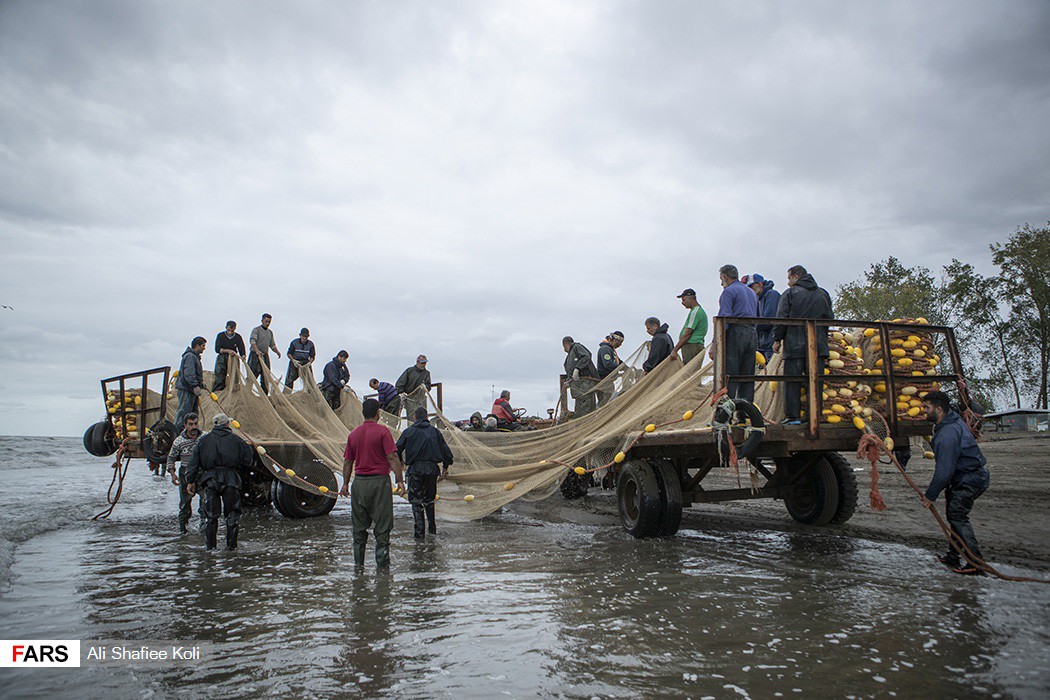 صید ماهی در سواحل دریای کاسپین